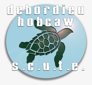 Debordieu & Hobcaw S - Hawksbill Sea Turtle, HD Png Download, Transparent PNG
