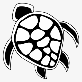 Turtle Clipart Line Drawing - Turtle Logo Transparent Background, HD Png Download, Transparent PNG