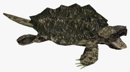 Download Snapping Turtle Png - Alligator Snapping Turtle Png, Transparent Png, Transparent PNG