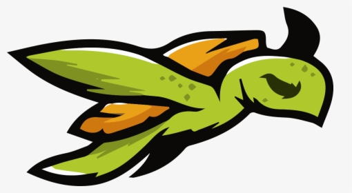 Turtle Squad - Turtle Esport Logo Png, Transparent Png, Transparent PNG