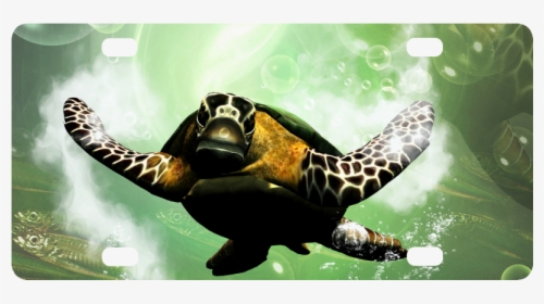 Hawksbill Sea Turtle , Png Download - Sea Turtle, Transparent Png, Transparent PNG