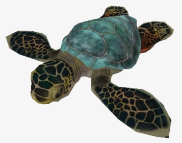Download Zip Archive - Baby Sea Turtle Transparent, HD Png Download, Transparent PNG