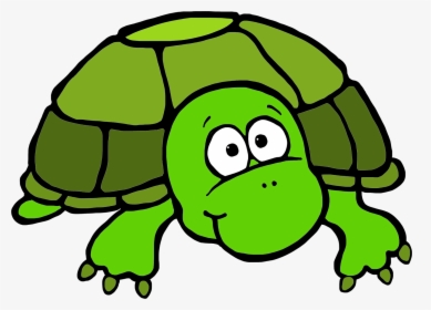 28 Collection Of Turtle Clipart Png - Turtle Clip Art Color, Transparent Png, Transparent PNG