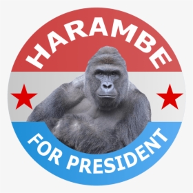 Harambe For President - Harambe President, HD Png Download, Transparent PNG
