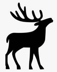 Deer - Deer Icon Png, Transparent Png, Transparent PNG