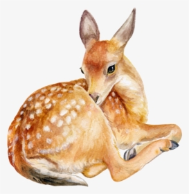Deer,fawn,roe Deer,animal Figure,wildlife,figurine - Transparent Background Deer Png, Png Download, Transparent PNG