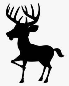 White-tailed Deer Vector Graphics Moose Clip Art - Deer, HD Png Download, Transparent PNG