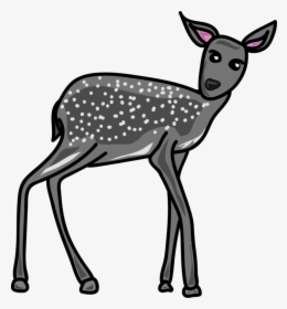 Wildlife,antler,musk Deer - Grey Animals Clip Art, HD Png Download, Transparent PNG