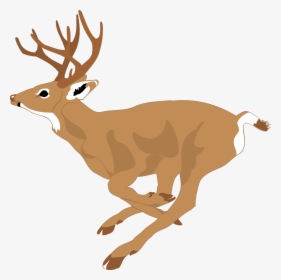 Running Deer Clip Art - Running Deer Clipart, HD Png Download, Transparent PNG