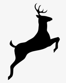 Leaping Deer Silhouette Clip Arts - Dear Black And White, HD Png Download, Transparent PNG