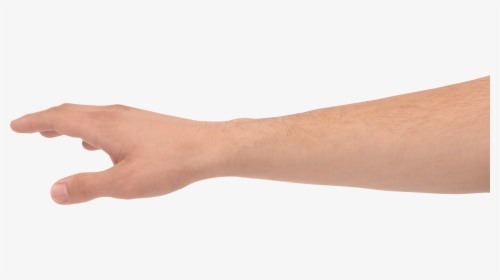 Hands Png, Hand Image Free - Grabbing Hand Png, Transparent Png, Transparent PNG