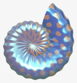 Free Seashell Cliparts The Cliparts - Sea Shells Transparent Background, HD Png Download, Transparent PNG