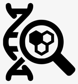 Transparent Magnifying Glass Icon Png - Dna Icon Png, Png Download, Transparent PNG