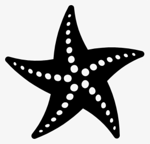 Png Starfish Black And White Transparent Starfish Black - Black Starfish Png, Png Download, Transparent PNG