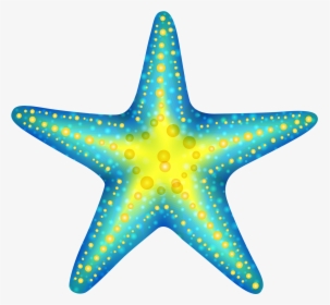 Transparent Starfish Clipart, HD Png Download, Transparent PNG