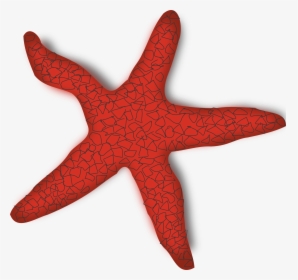 Red Starfish Clipart, HD Png Download, Transparent PNG