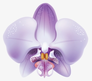 Violet Orchid Png Clipart - Orquideas Lilas Png, Transparent Png, Transparent PNG