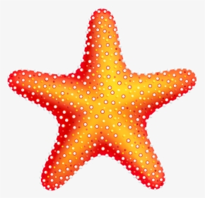Star Fish Clip Art, HD Png Download, Transparent PNG