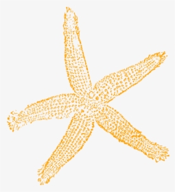 Sandy Starfish Clip Art At Vector Clip Art Online Image - Fish Clip Art, HD Png Download, Transparent PNG