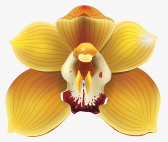 Yellow Orchid Png Clipart - Yellow Orchids Png, Transparent Png, Transparent PNG