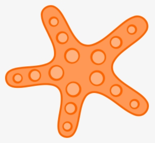 Starfish Ocean Clip Art - Sea Star Clip Art, HD Png Download, Transparent PNG