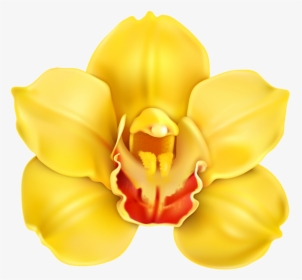 Yellow Orchid Flower Clipart, HD Png Download, Transparent PNG