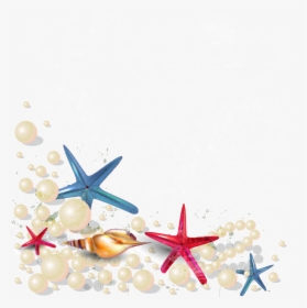 Starfish Clipart Sandy - Transparent Background Sea Shells Clip Art, HD Png Download, Transparent PNG