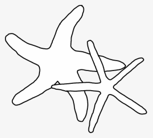 Drawing Shell Starfish - Starfish, HD Png Download, Transparent PNG