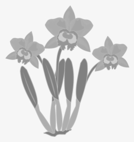 Flower Orchid Clipart Black And White, HD Png Download, Transparent PNG