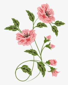 Botanical Vector Botany - Vector Floral Png, Transparent Png, Transparent PNG