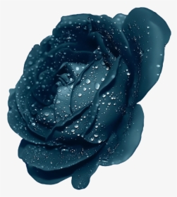 Free Download Purple Rose Transparent Clipart Rose - Dark Blue Flower Png, Png Download, Transparent PNG