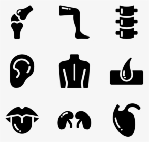 Clip Art Human Icons Free Vector - Body Symbols Png, Transparent Png, Transparent PNG