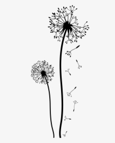 Dandelion Png Free Download - Black And White Flower Drawing, Transparent Png, Transparent PNG