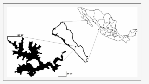 Transparent Mapa De Mexico Png - Mexico, Png Download, Transparent PNG