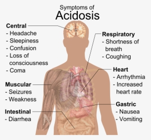 Symptoms Of Acidosis, HD Png Download, Transparent PNG