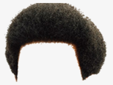 Afro Hair PNG Images, Transparent Afro Hair Image Download - PNGitem