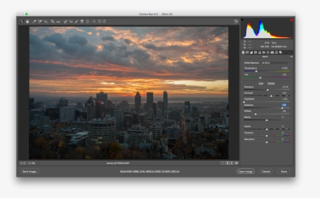 The Adobe Photoshop Interface Showing A Raw Image - Camera Raw, HD Png Download, Transparent PNG