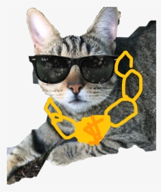 #mlg Cat, HD Png Download, Transparent PNG