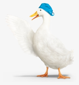 Aflac Duck Png - Transparent Aflac Duck, Png Download, Transparent PNG