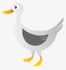 Duck Png Best Clipart - Duck Vector Png, Transparent Png, Transparent PNG