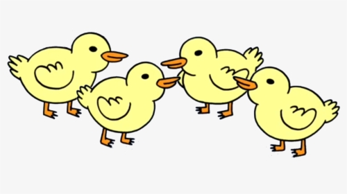 Ducks Regular Show Wiki - Baby Ducks From Regular Show, HD Png Download, Transparent PNG