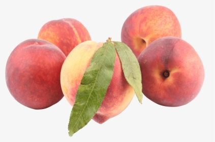 Peaches - Peach Png, Transparent Png, Transparent PNG