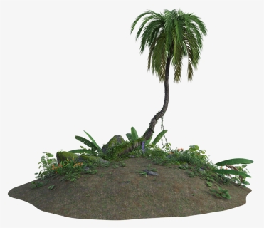 Tropical, Sand, 3d, Tree, Palm, Plants, Flowers, Nature - Palmeira De Deserto Png, Transparent Png, Transparent PNG