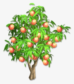 Peach Tree Clip Art, HD Png Download, Transparent PNG