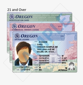 Uses Nation-wide Standards For Layout And Content, - Real Oregon Drivers License, HD Png Download, Transparent PNG