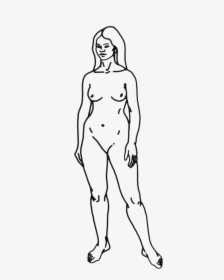 File - Human-woman - Homo Sapiens Easy To Draw, HD Png Download, Transparent PNG