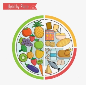 Healthy Food Infographic Chart Illustration Of Plate - Healthy Plate, HD Png Download, Transparent PNG
