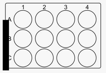 12 Well Plate - 12 Well Microtiter Plate, HD Png Download, Transparent PNG