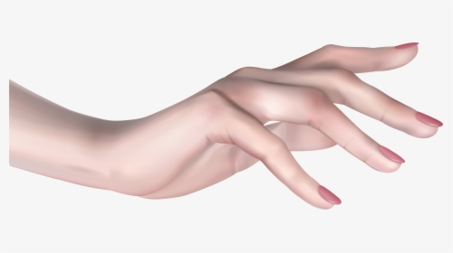 Hand Clipart Arm - Female Hand Png, Transparent Png, Transparent PNG