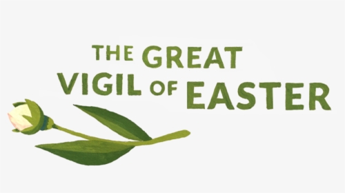 The Great Vigil Of Easter - Tea Plant, HD Png Download, Transparent PNG